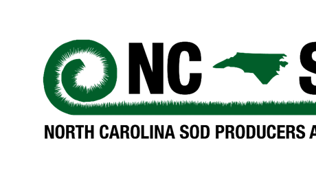 Group Banner Picture